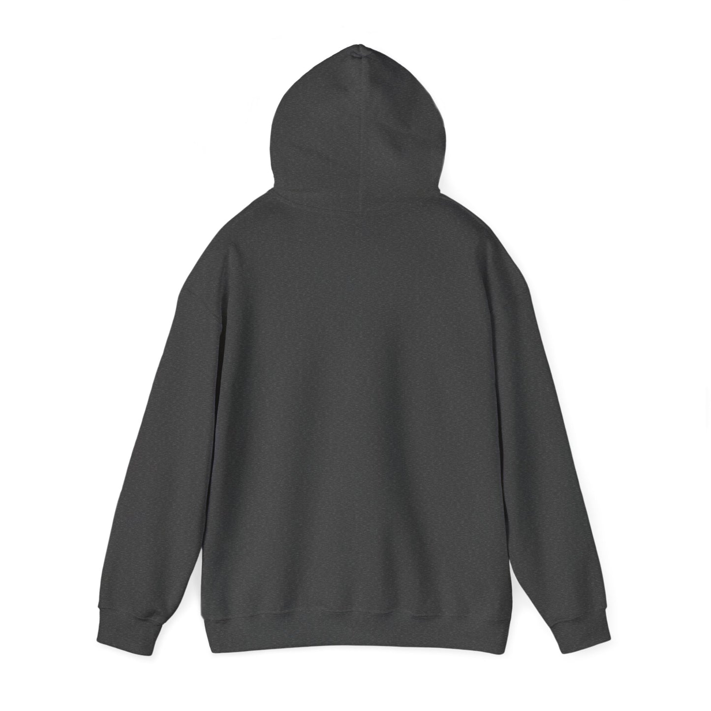 France Hoodie